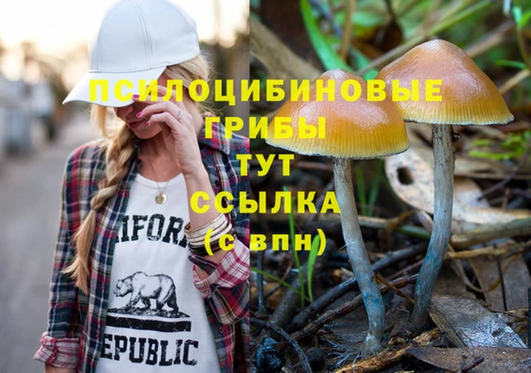 наркотики Алексин