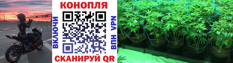 блэк спрут ONION  Андреаполь  Каннабис White Widow  магазин продажи наркотиков 
